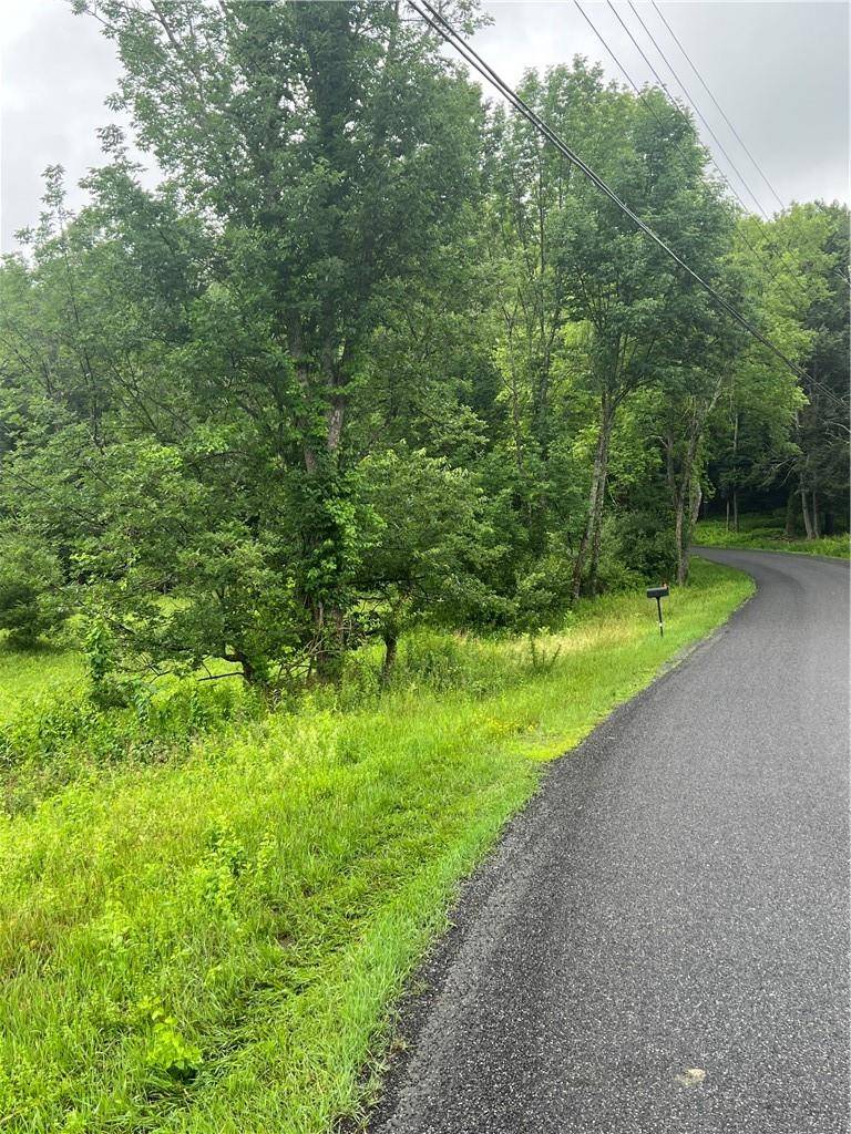 Grahamsville, NY 12740,000 Little Hollow Road