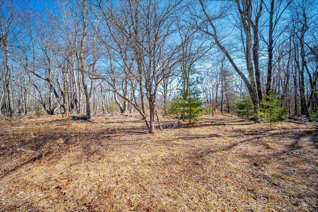 Glen Wild, NY 12738,TBD Glen Wild RD
