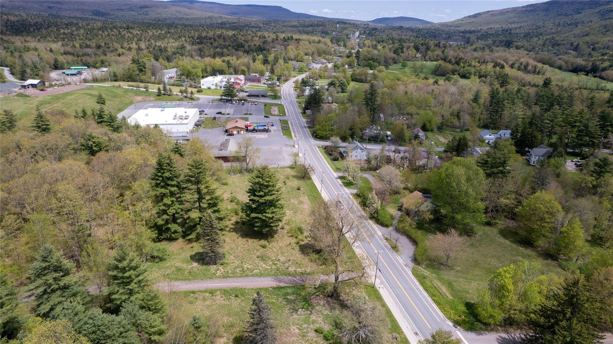 Tannersville, NY 12485,TBD Main ST
