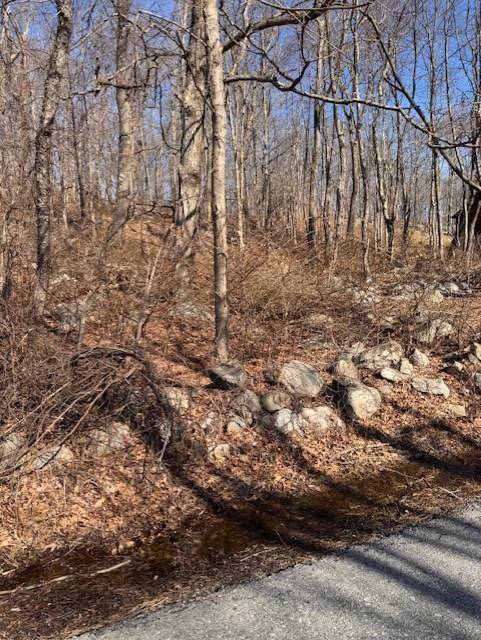 Hopewell Junction, NY 12582,110 Rushmore RD