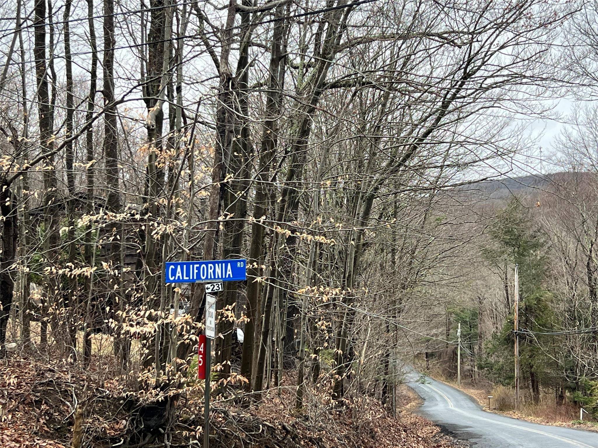Warwick, NY 10990,41 California RD