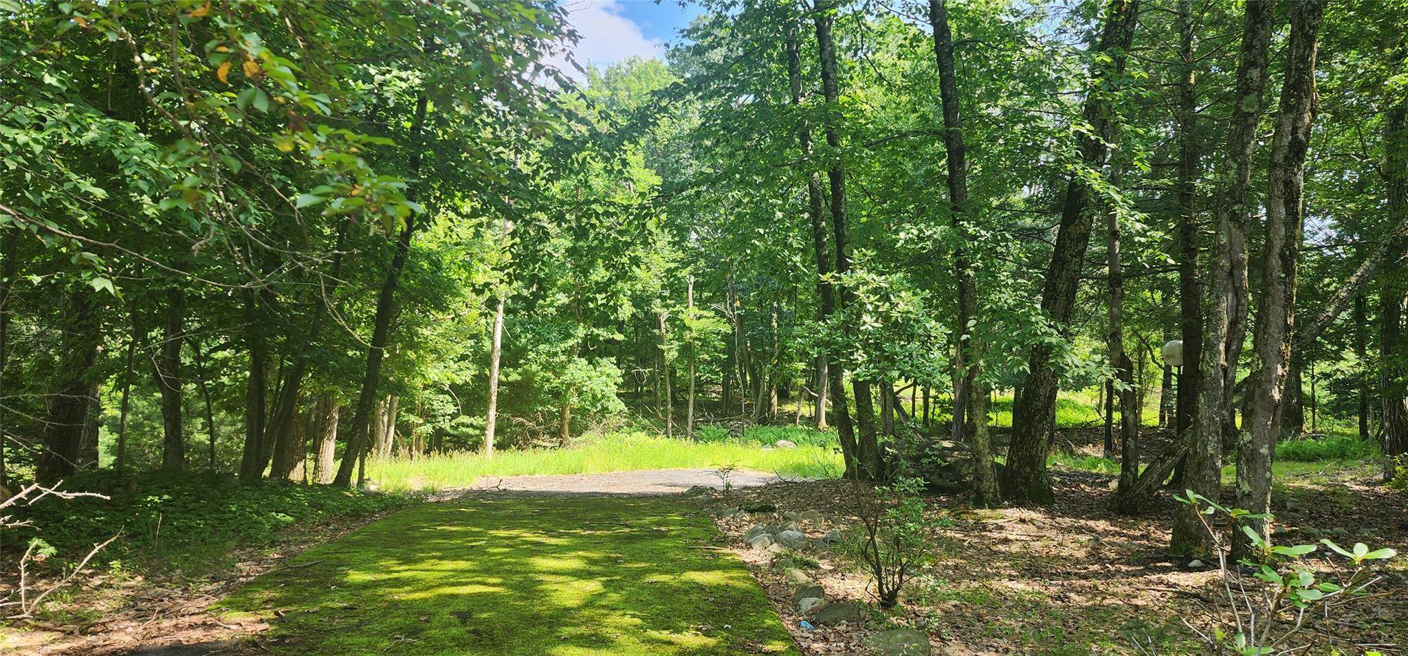 Rock Hill, NY 12775,64 Pebble PATH