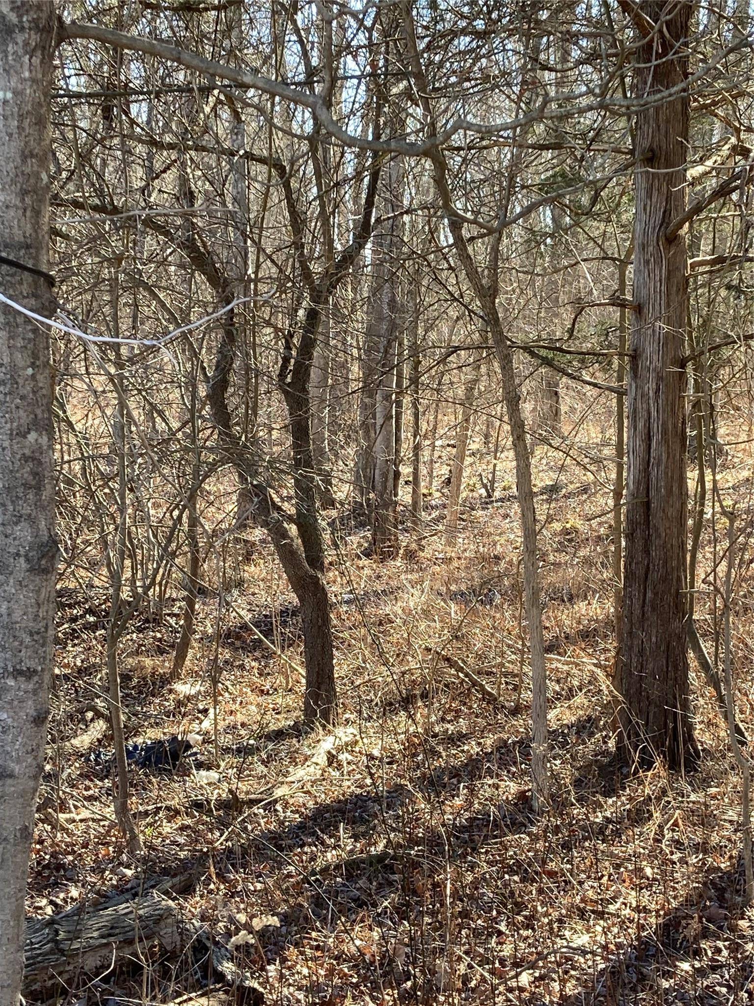 Gardiner, NY 12525,799 Albany Post RD