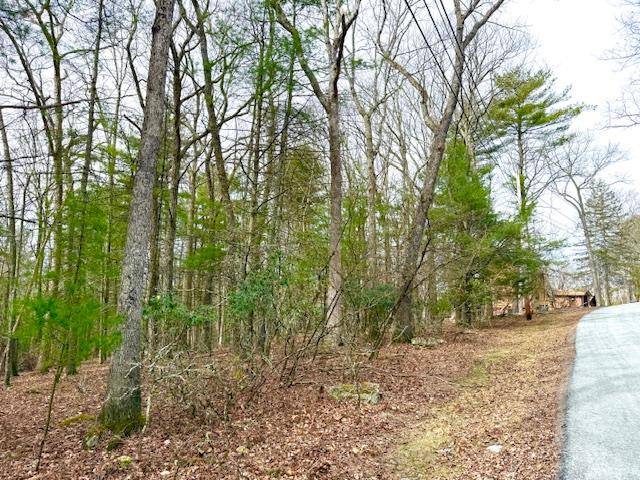 Glen Spey, NY 12737,Lot 11 Magnolia DR
