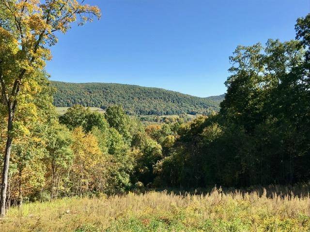 Millerton, NY 12546,0 Mill RD