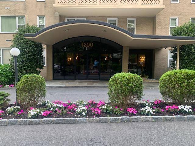 Bronxville, NY 10708,1200 Midland #8f