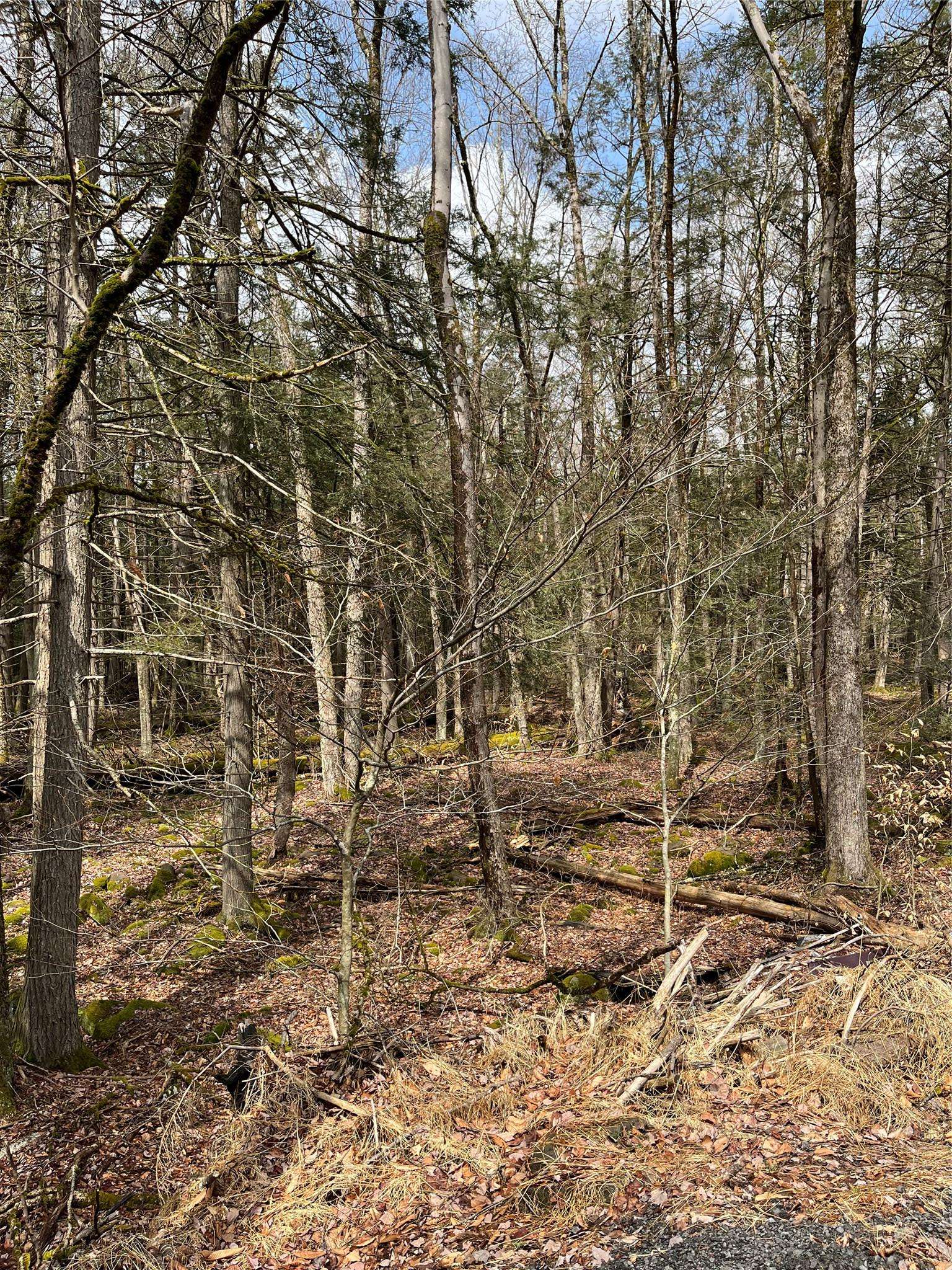 Fallsburg, NY 12733,Leins Road, Fallsburg, NY Leins RD