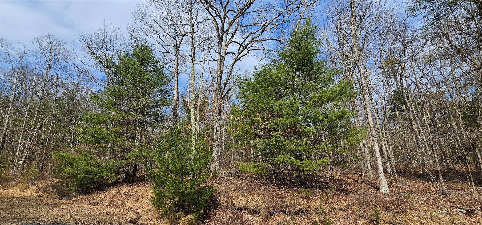 Barryville, NY 12719,Lot 20.22 Woods RD