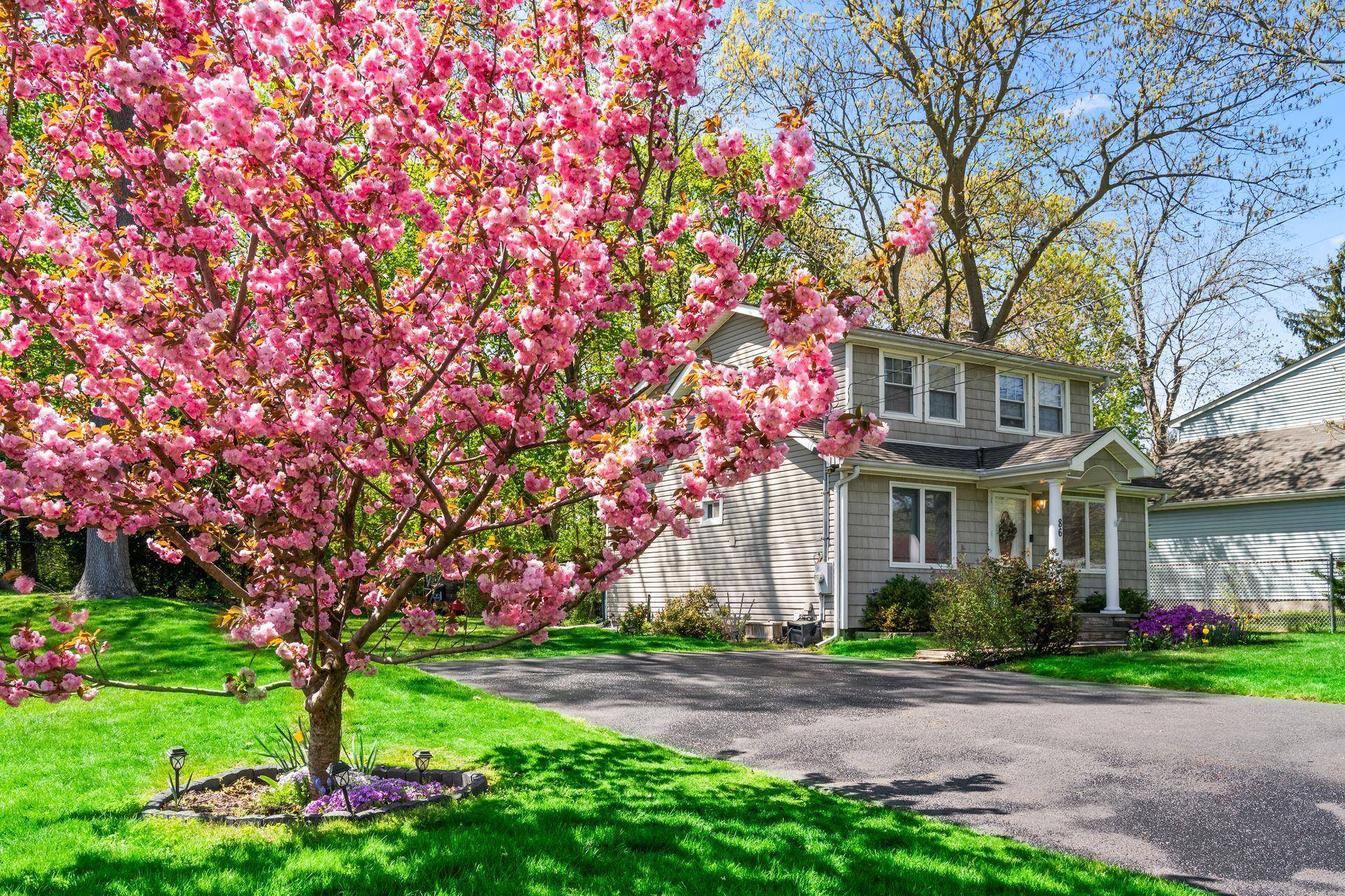 Lake Ronkonkoma, NY 11779,86 Arlington Road