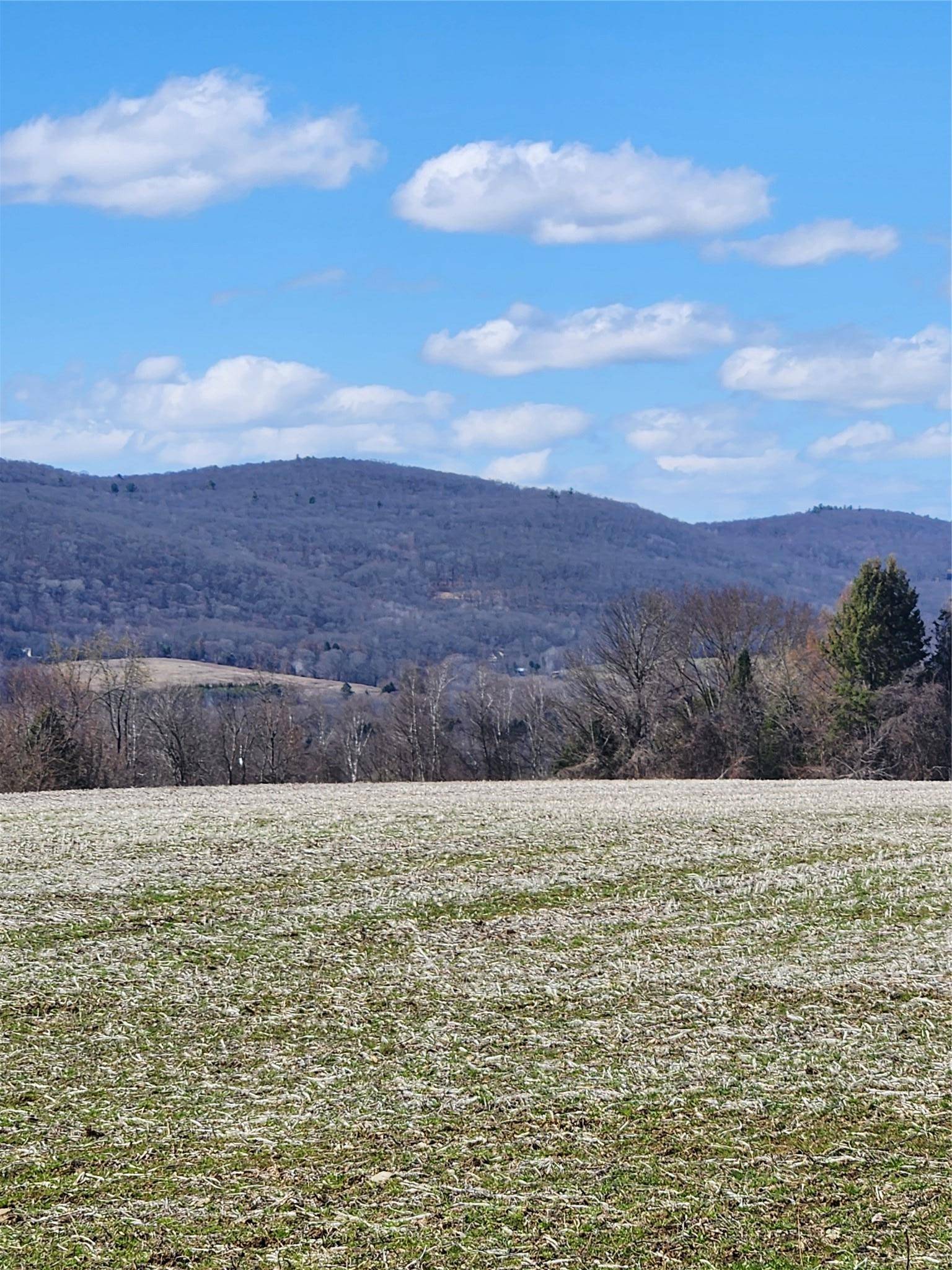 Amenia, NY,28 Yellow City RD
