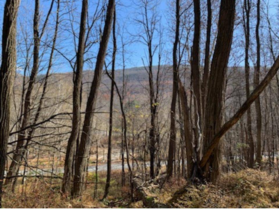 Spring Glen, NY,Phillipsport RD