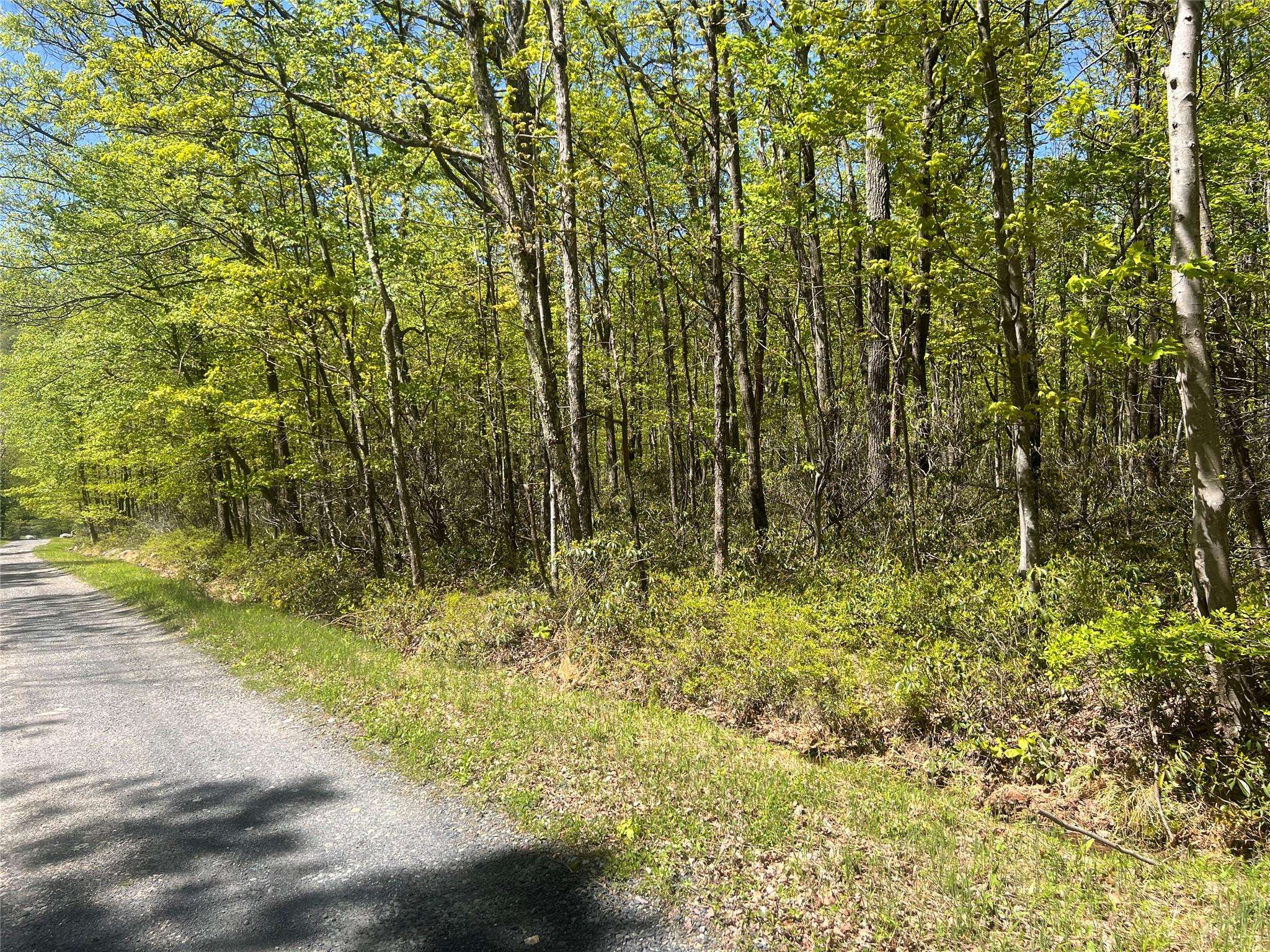 Pine Bush, NY 12566,Schneller LN
