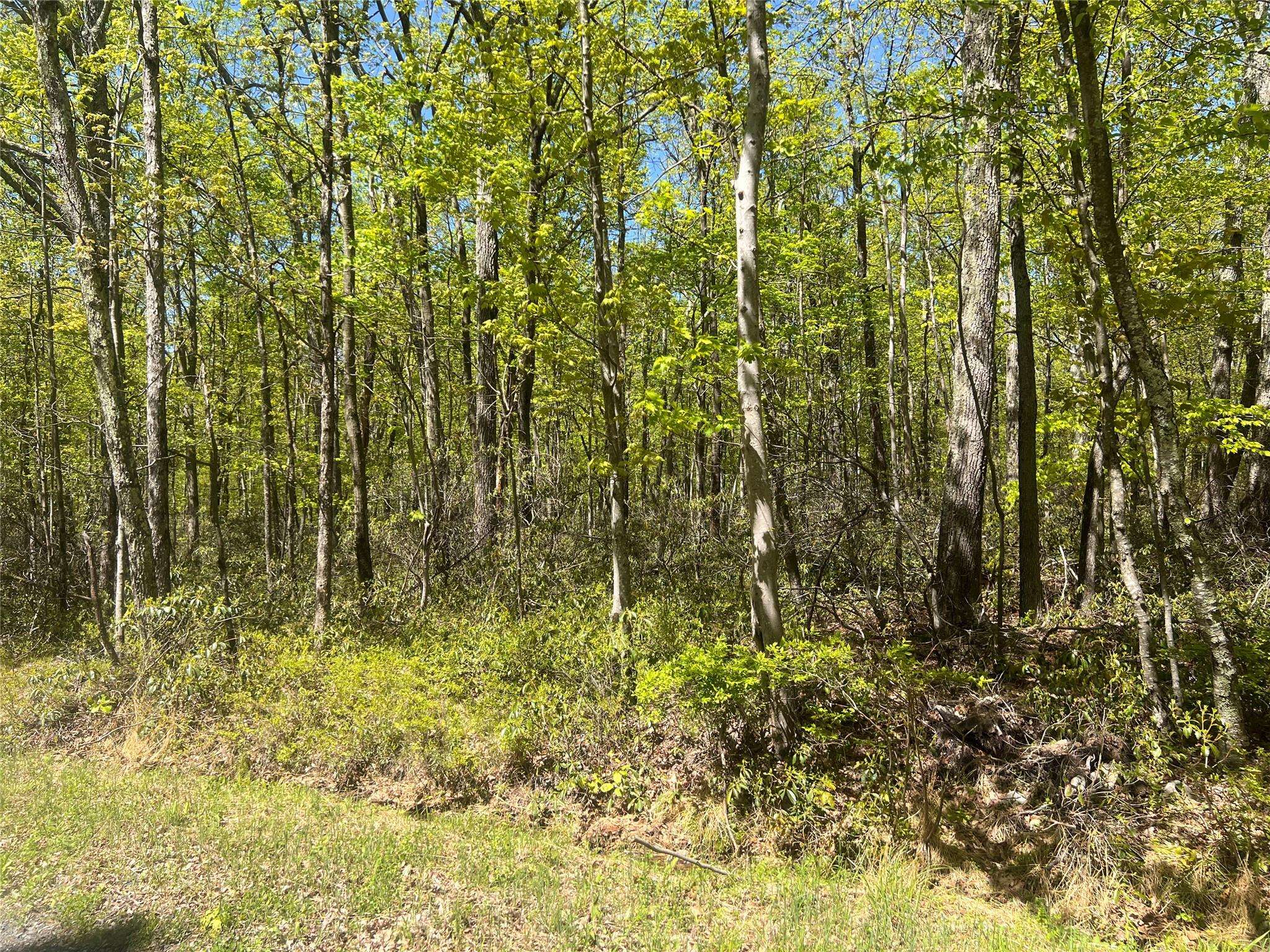 Pine Bush, NY 12566,Schneller LN
