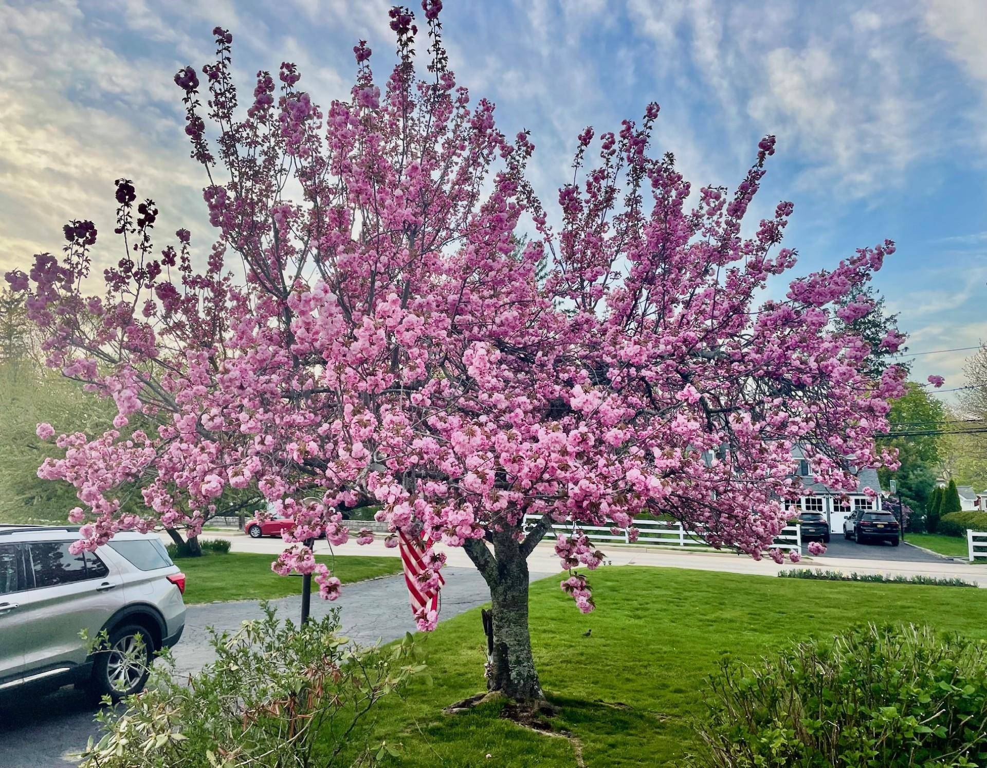 Northport, NY 11768,330 Scudder AVE