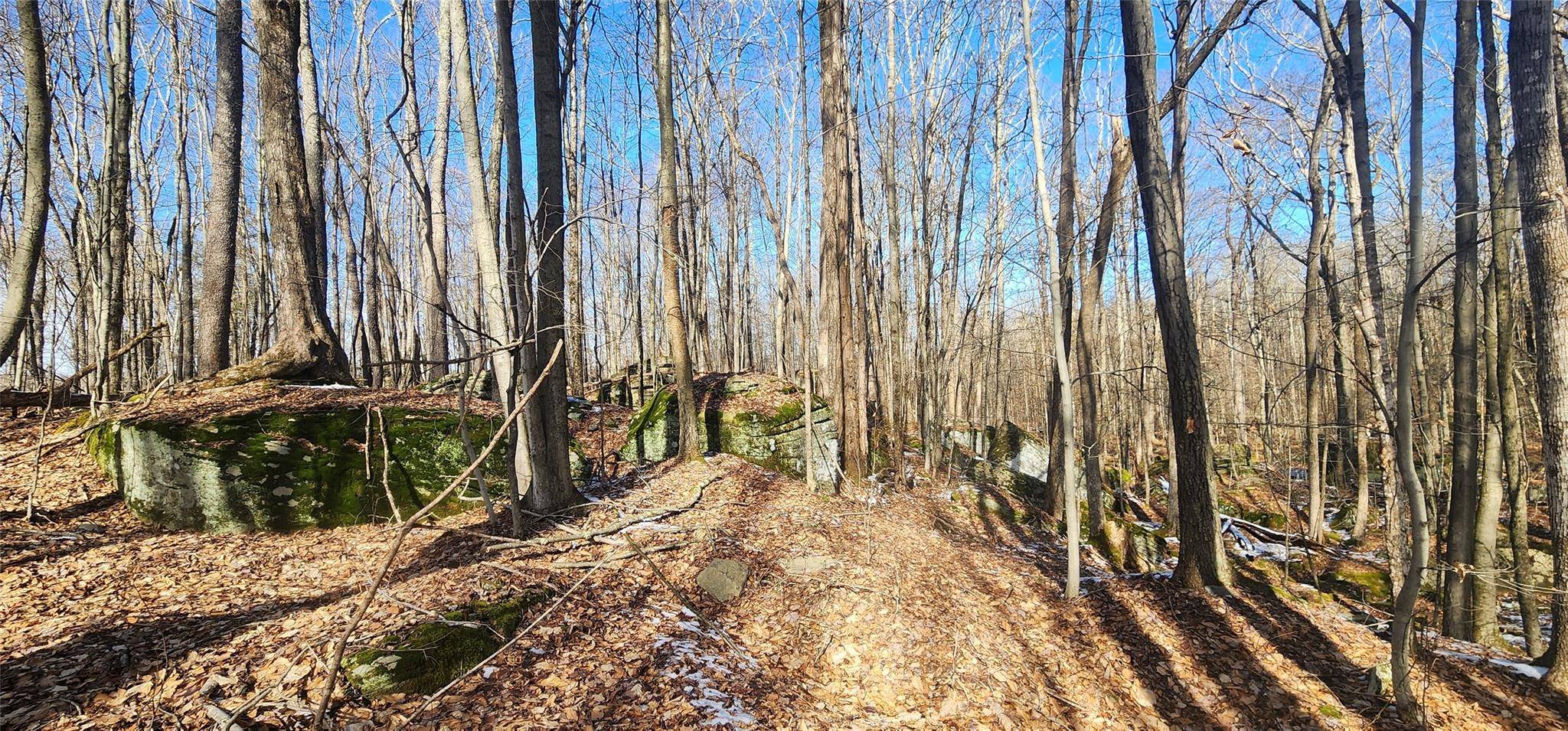 Swan Lake, NY 12783,4910 State Route 55