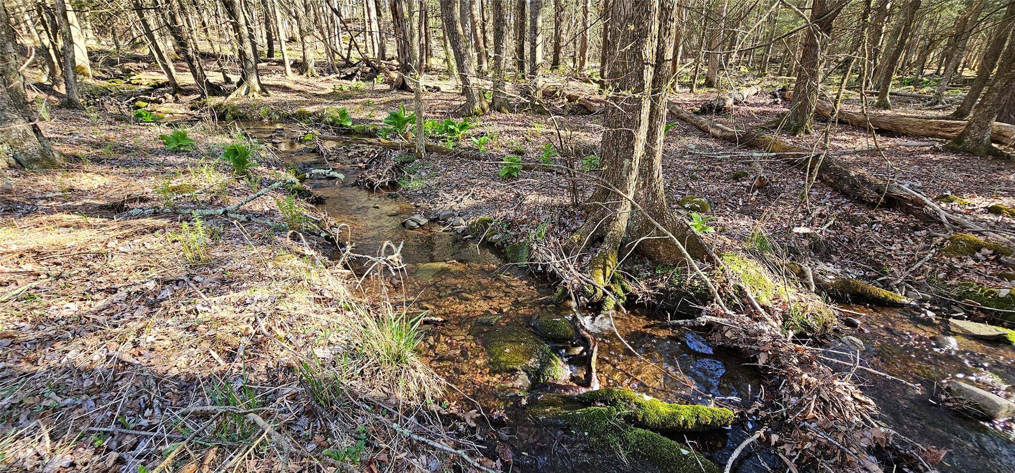 Narrowsburg, NY 12764,Lot 85 Perry Pond Road