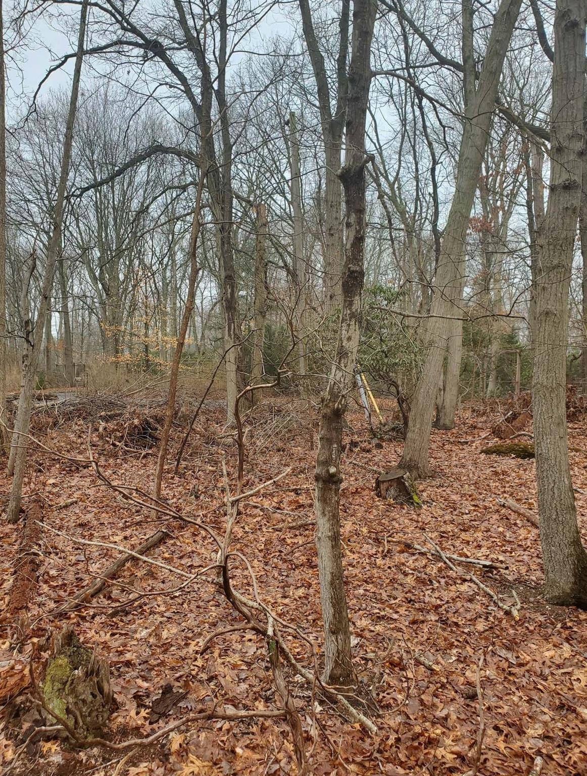 Saint James, NY 11780,8 Steep Bank RD