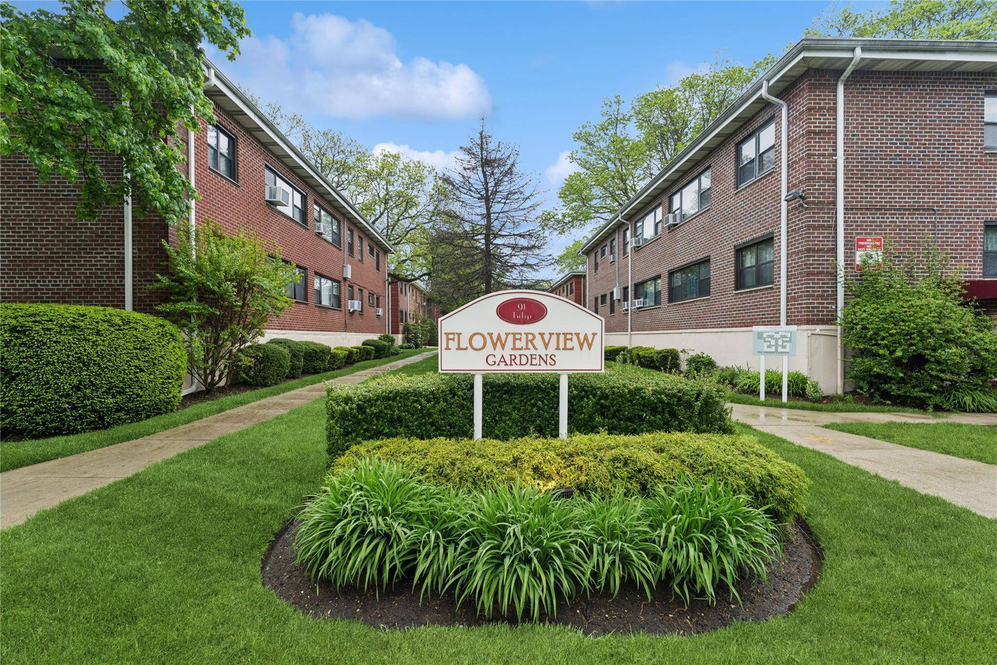 Floral Park, NY 11001,91 Tulip AVE #B1 - Carnation