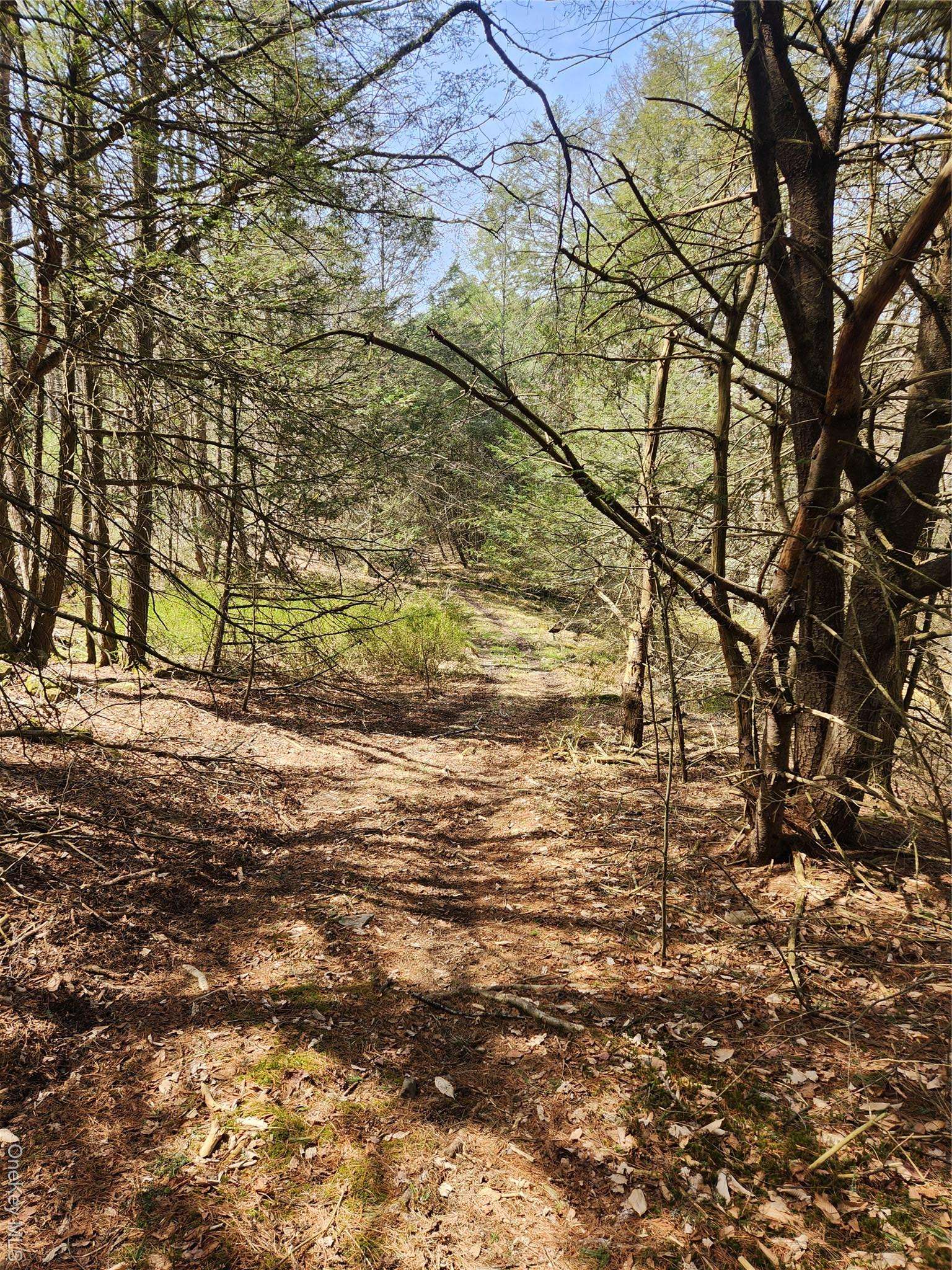 Rock Hill, NY 12775,lot 45 4th CIR