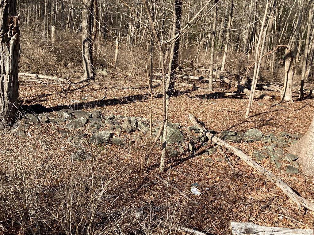 Saugerties, NY 12477,Route 212