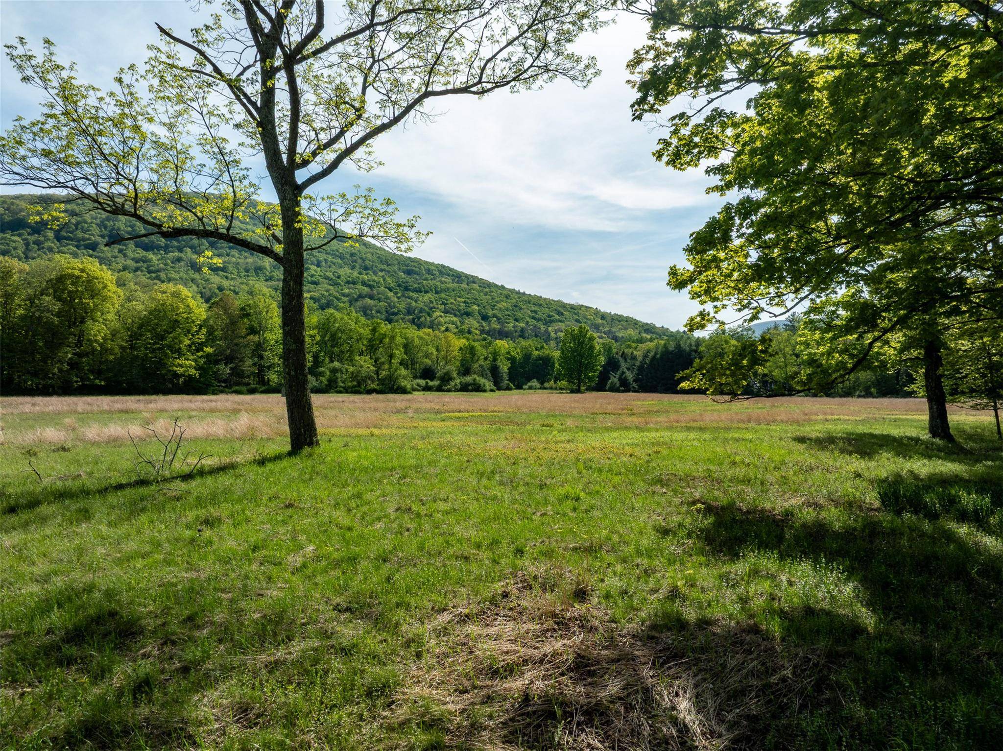 Woodstock, NY 12498,11 Louie WAY