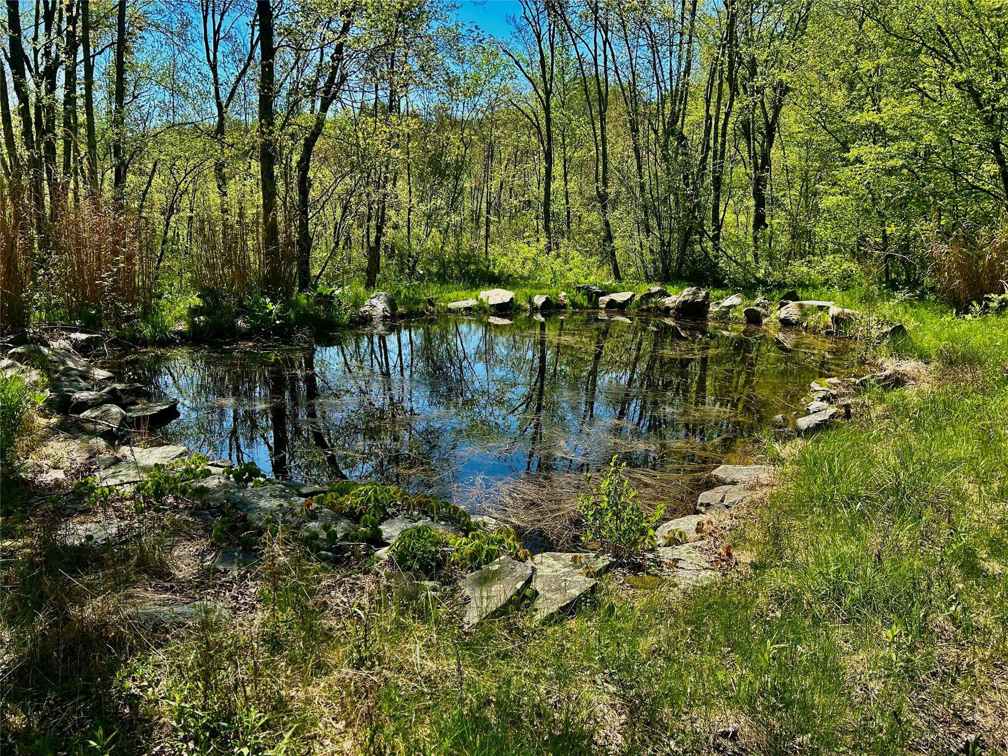 Stanfordville, NY 12581,285 South Road