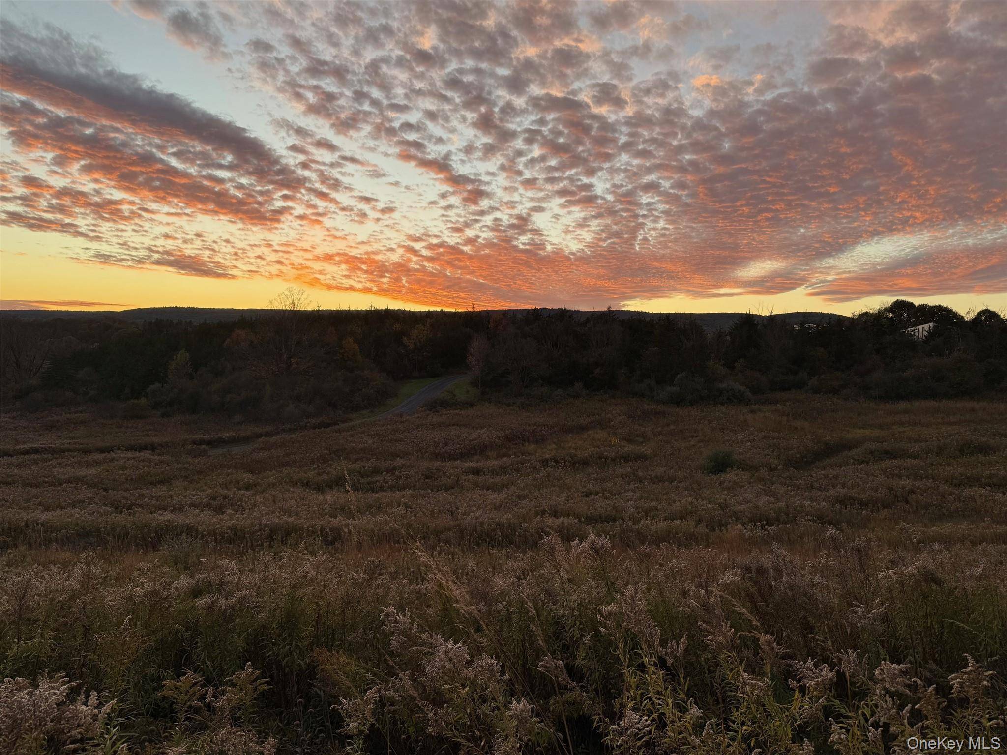 Amenia, NY 12501,Lot 4 Westerly Ridge DR