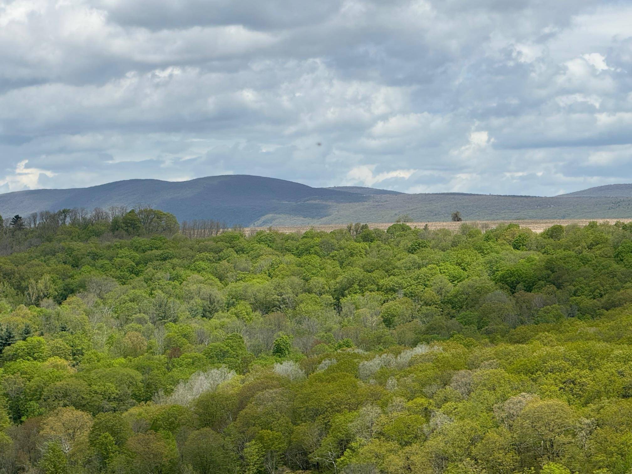 Millerton, NY 12546,Skunks Misery RD