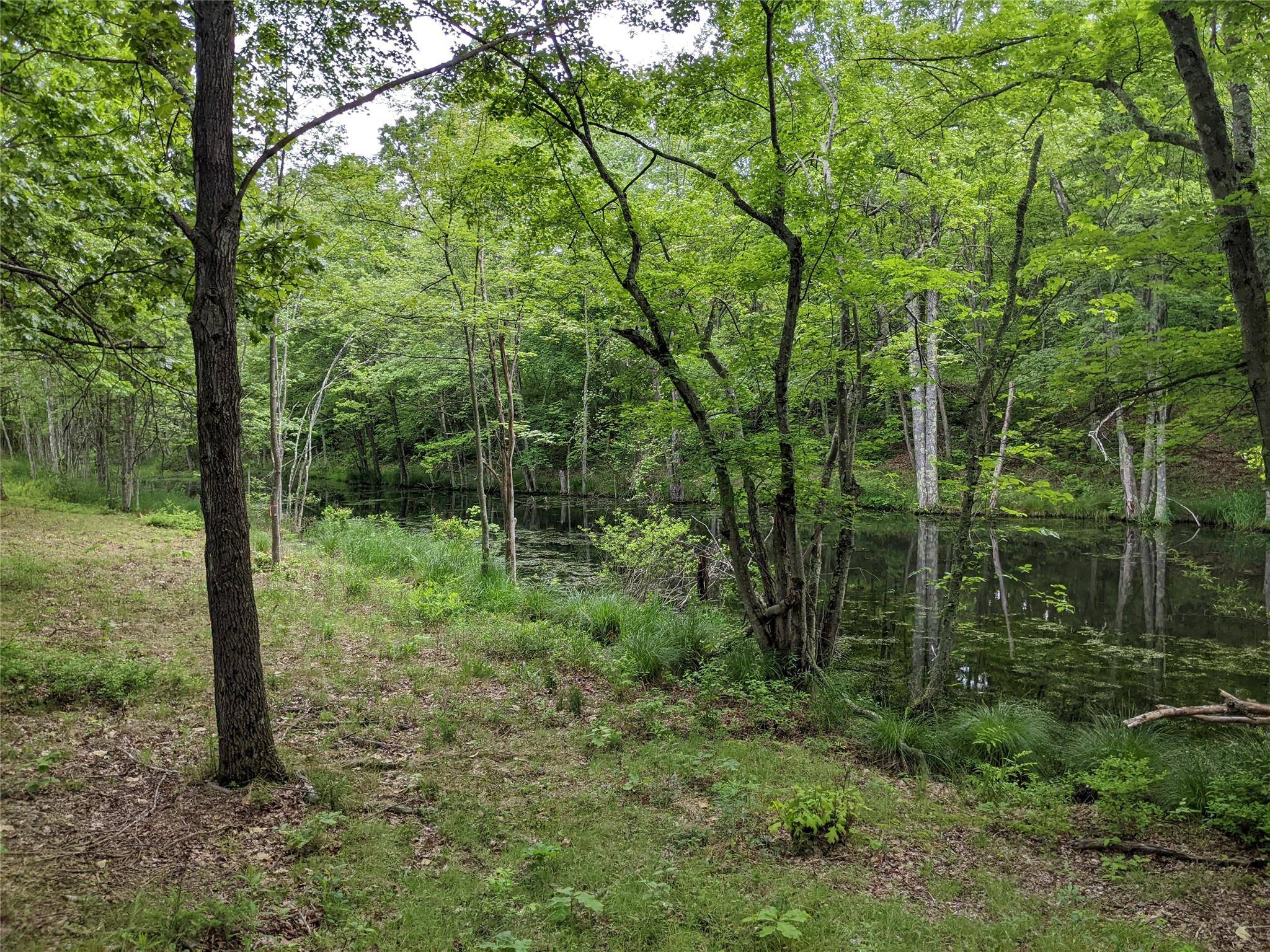 Millbrook, NY 12545,TBD Stanford RD