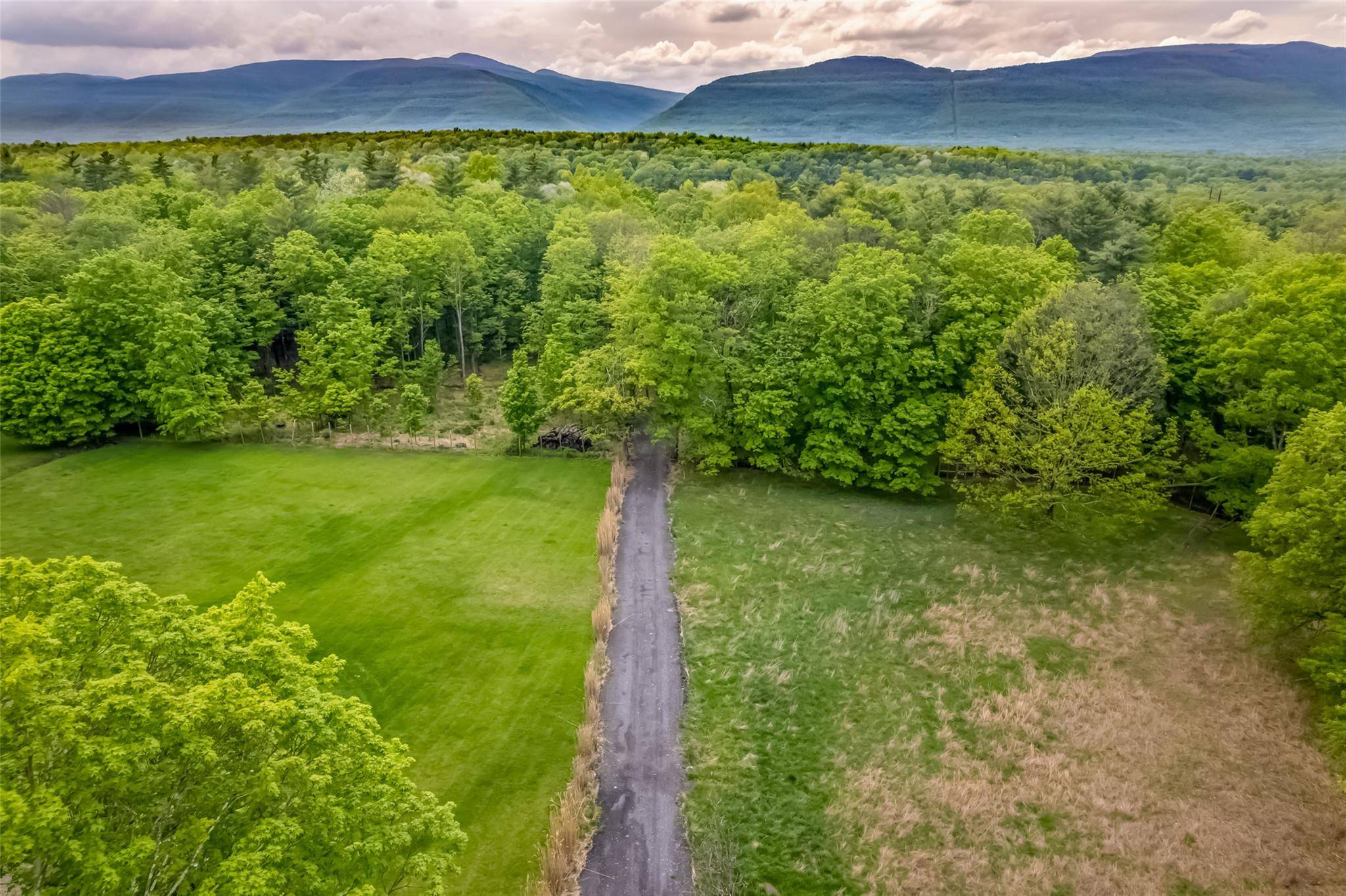 Catskill, NY 12414,Mossy Hill Road RD