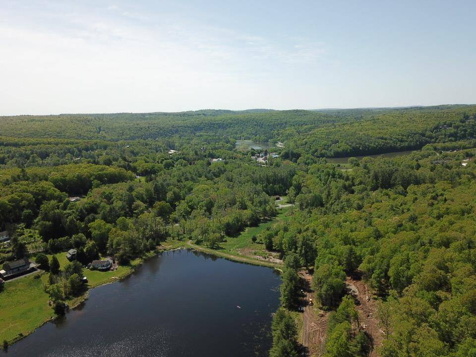 Narrowsburg, NY 12764,6450 B NYS 97
