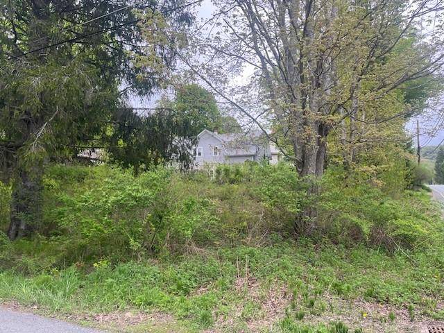 Livingston Manor, NY 12758,23 Maiden LN