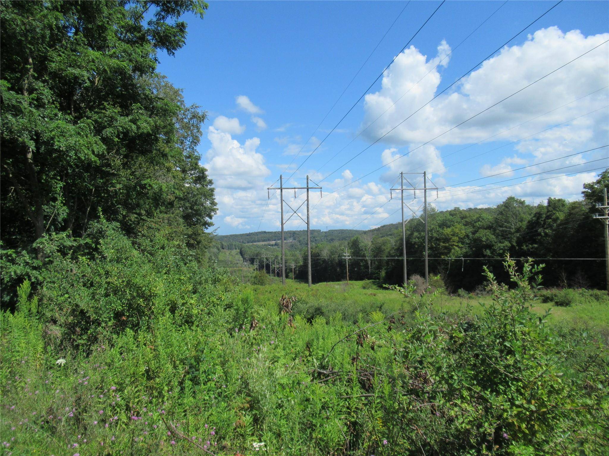 Ferndale, NY 12754,210 Ferndale RD