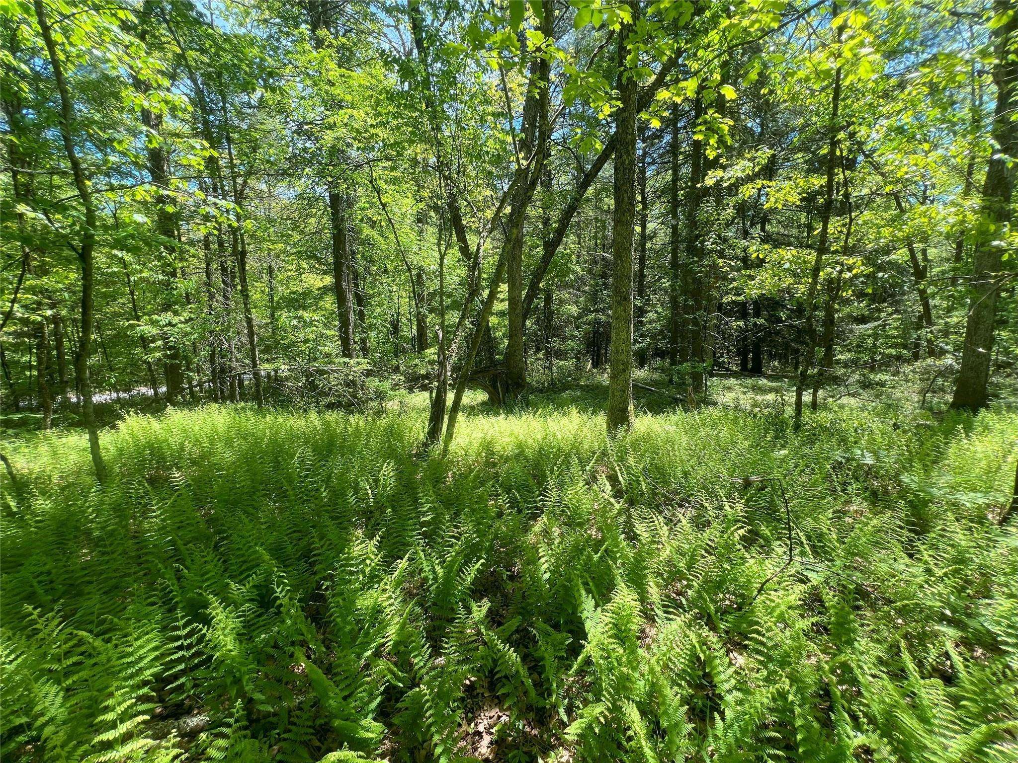 Narrowsburg, NY 12764,Lot 19 Brook DR