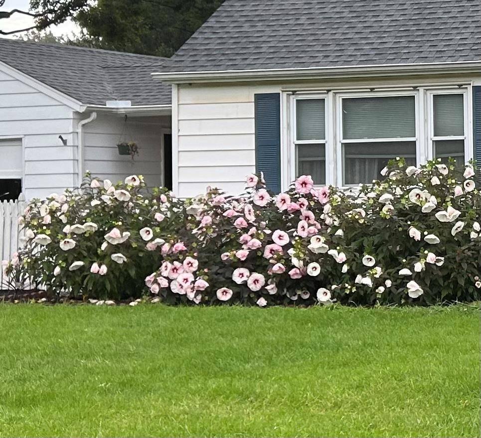 Tillson, NY 12486,1 Huguenot RD