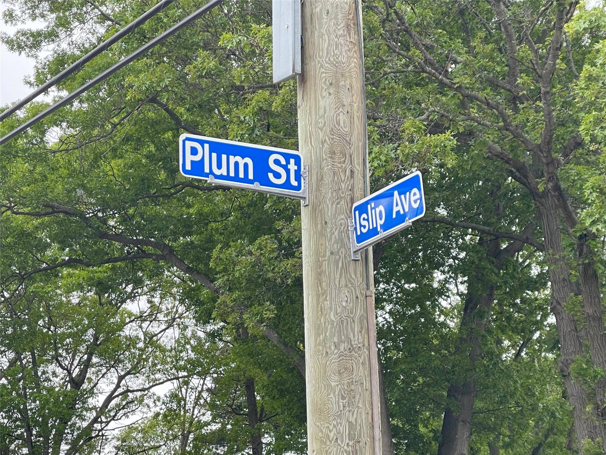 Brentwood, NY 11717,91 W Plum ST