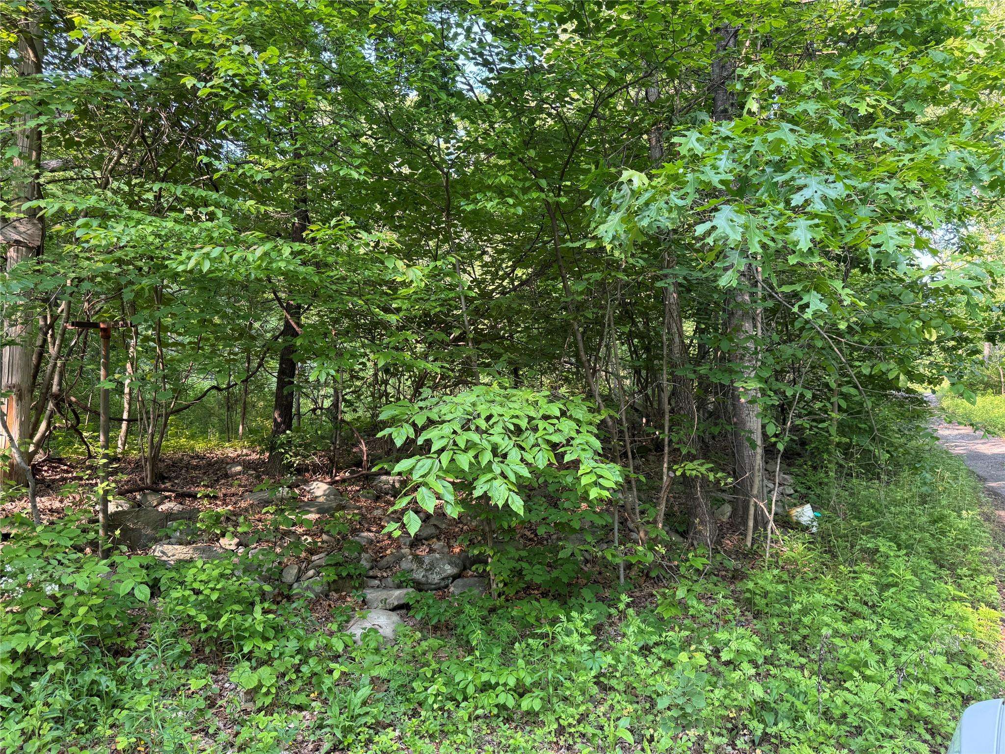 Wallkill, NY 12589,16 Saul TRL