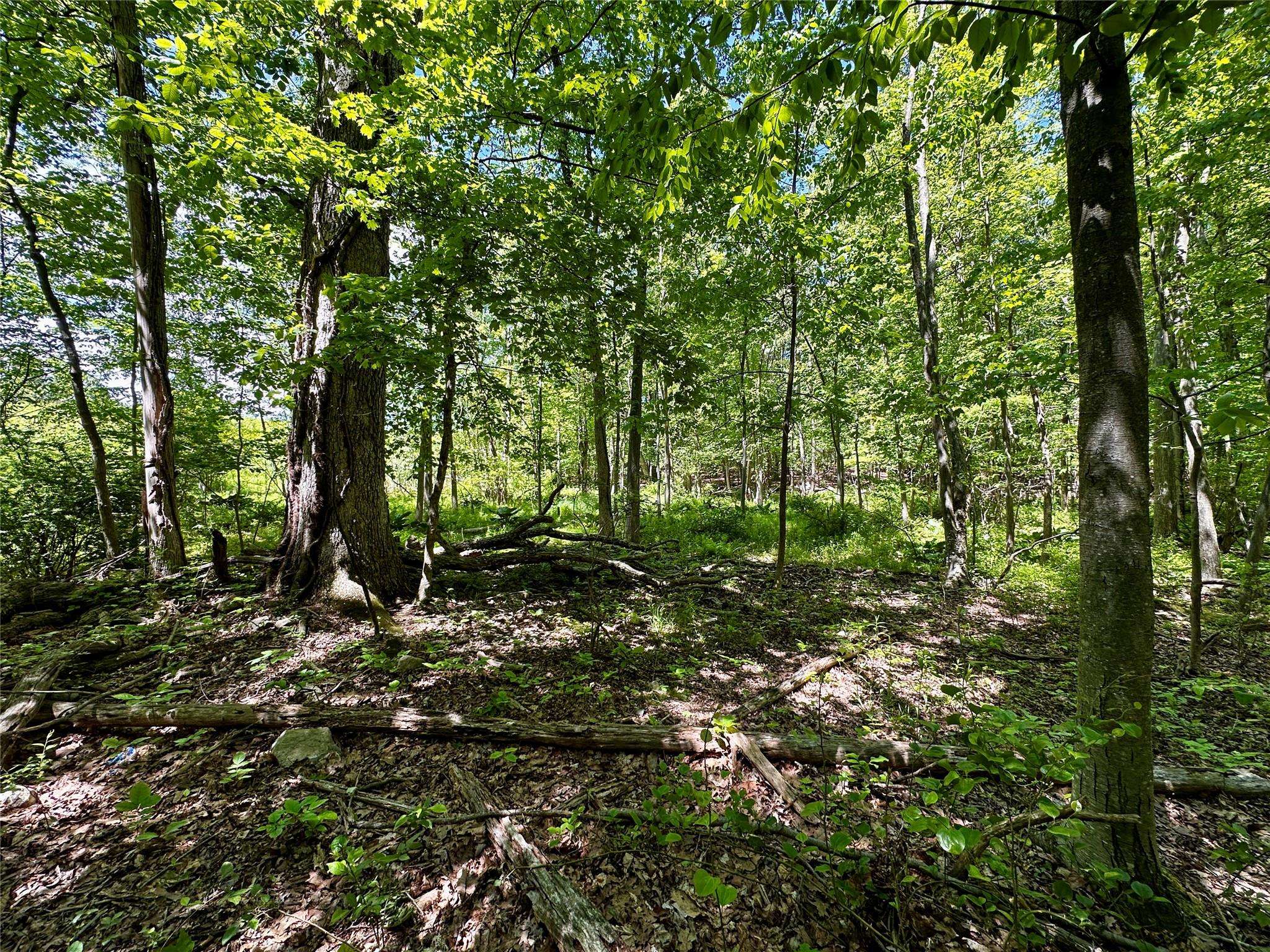 Monroe, NY 10950,Rye Hill RD