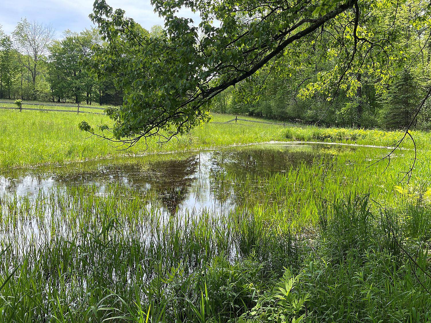Youngsville, NY 12791,Menges RD