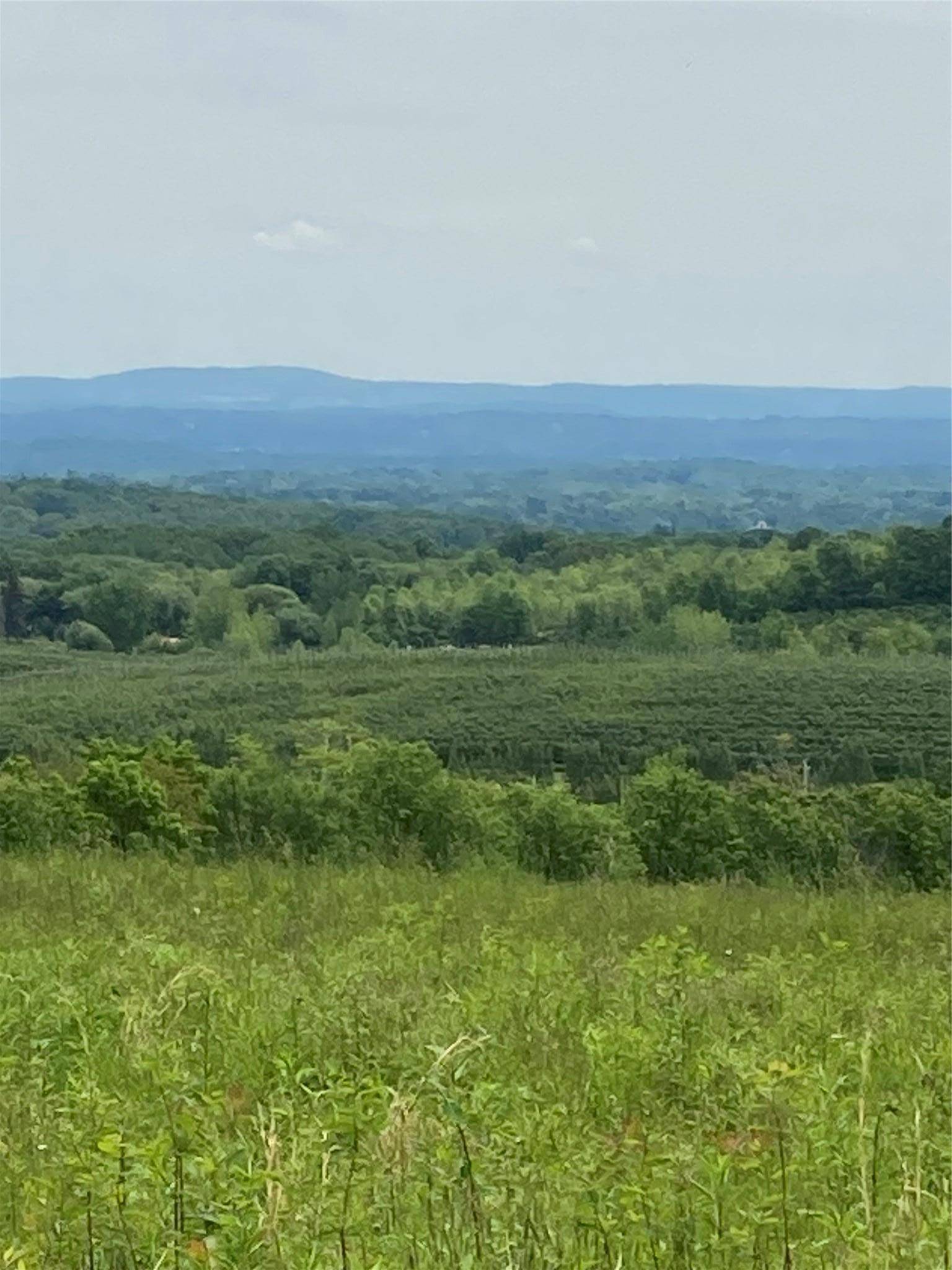 Marlboro, NY 12515,73 Peach LN