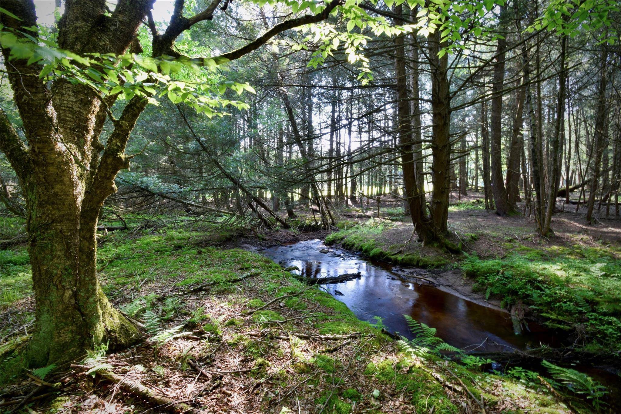 Bethel, NY 12783,650 Hurd