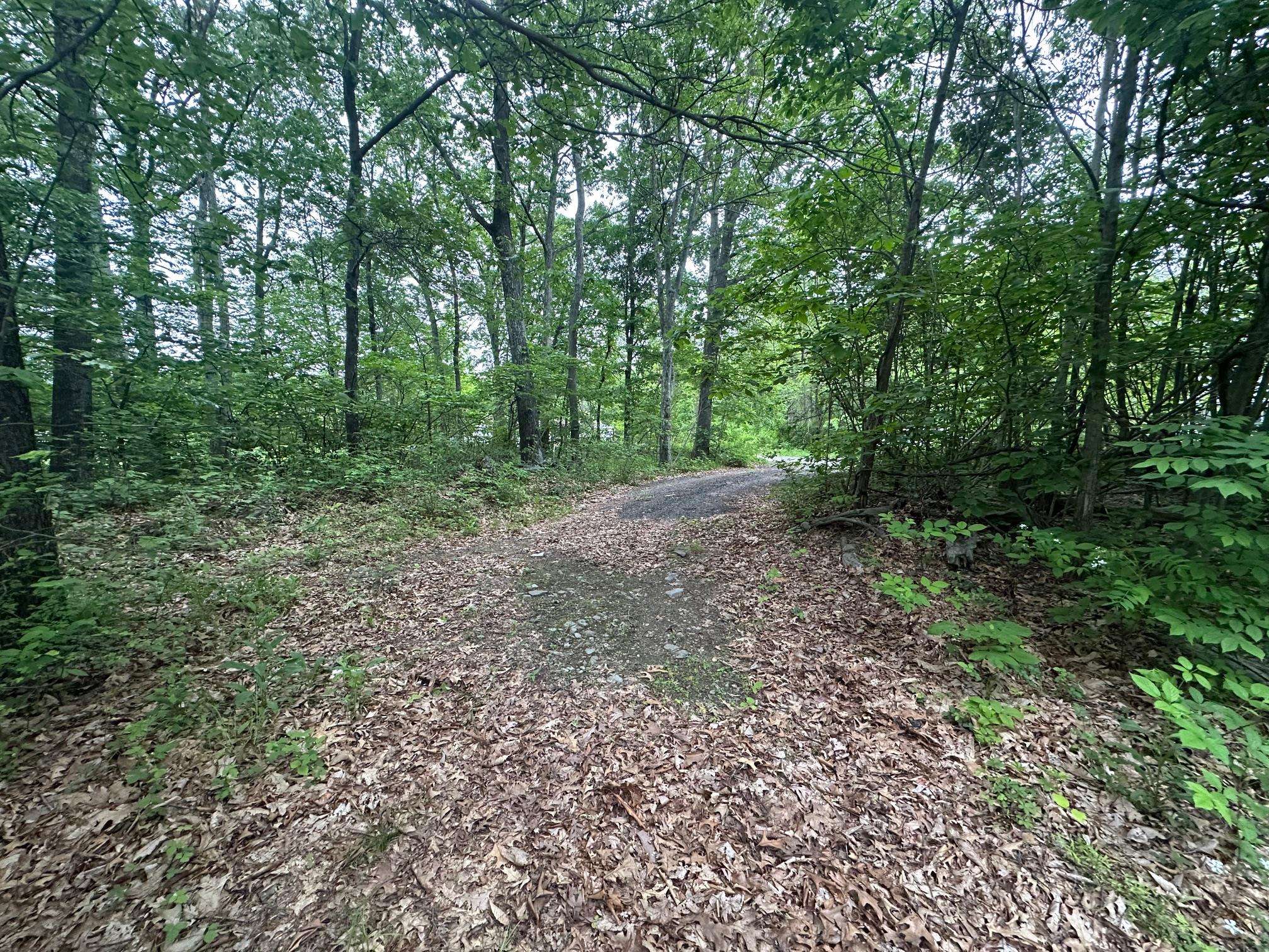 Wallkill, NY 12589,47 Krystal LN
