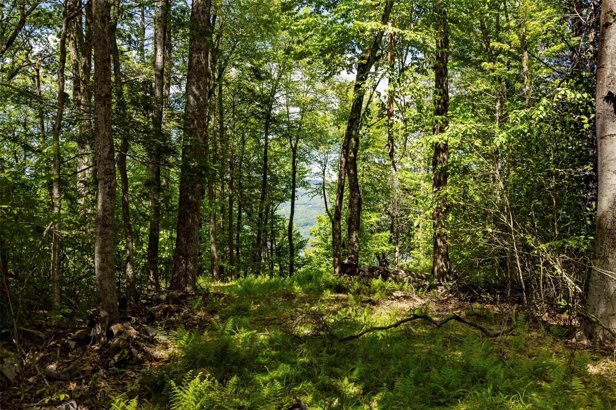 Wawarsing, NY,2 Red Rock RD