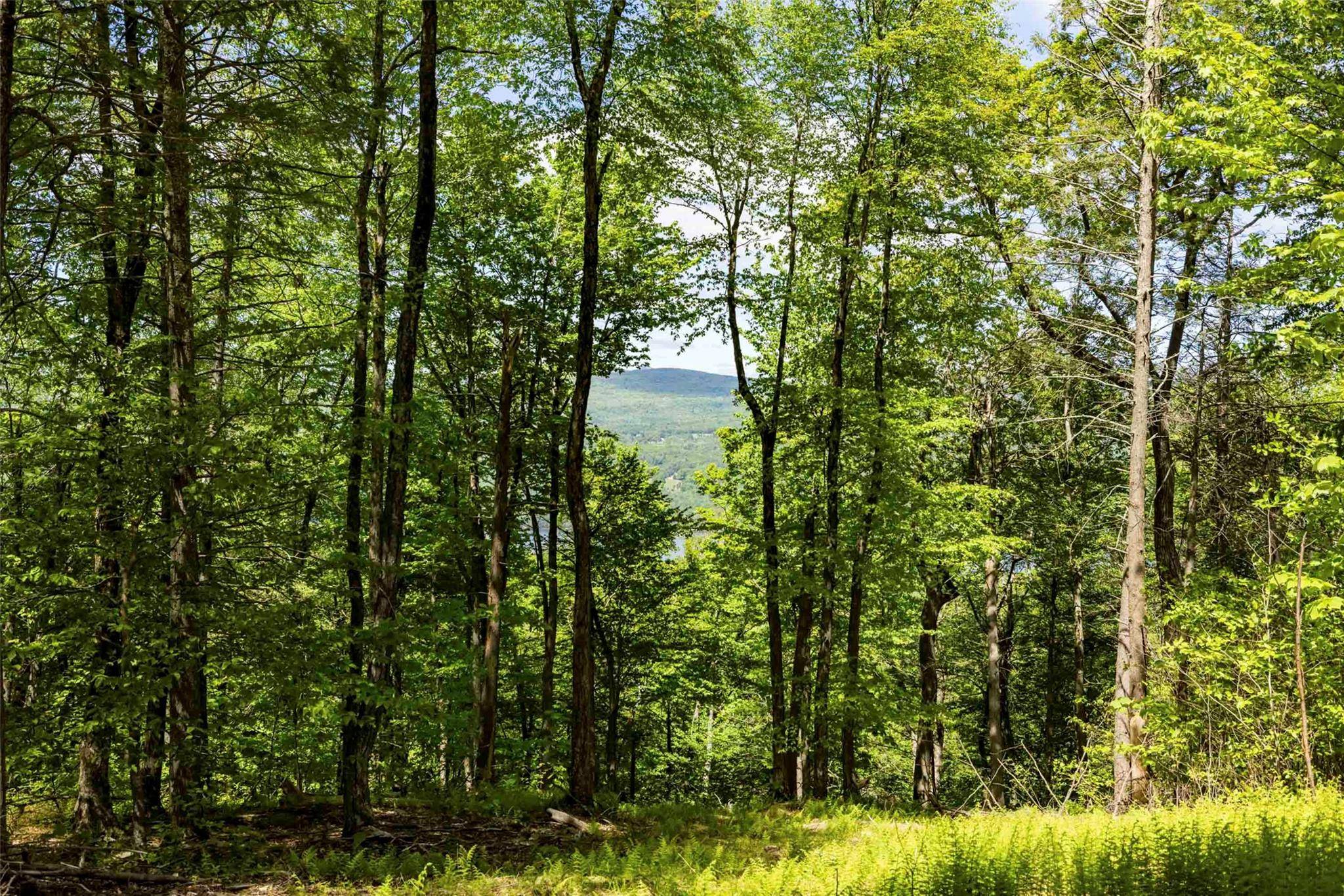 Wawarsing, NY,2 Red Rock RD
