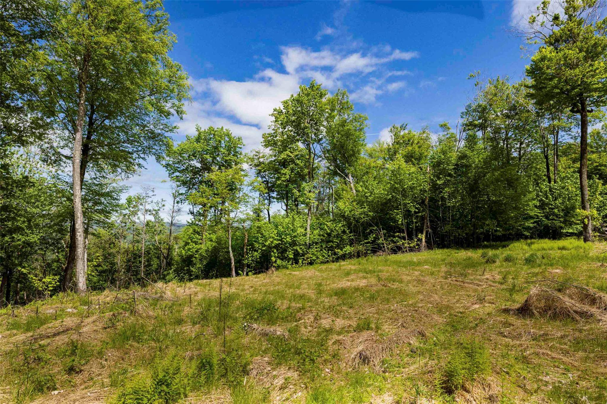 Wawarsing, NY 12489,3 Red Rock RD