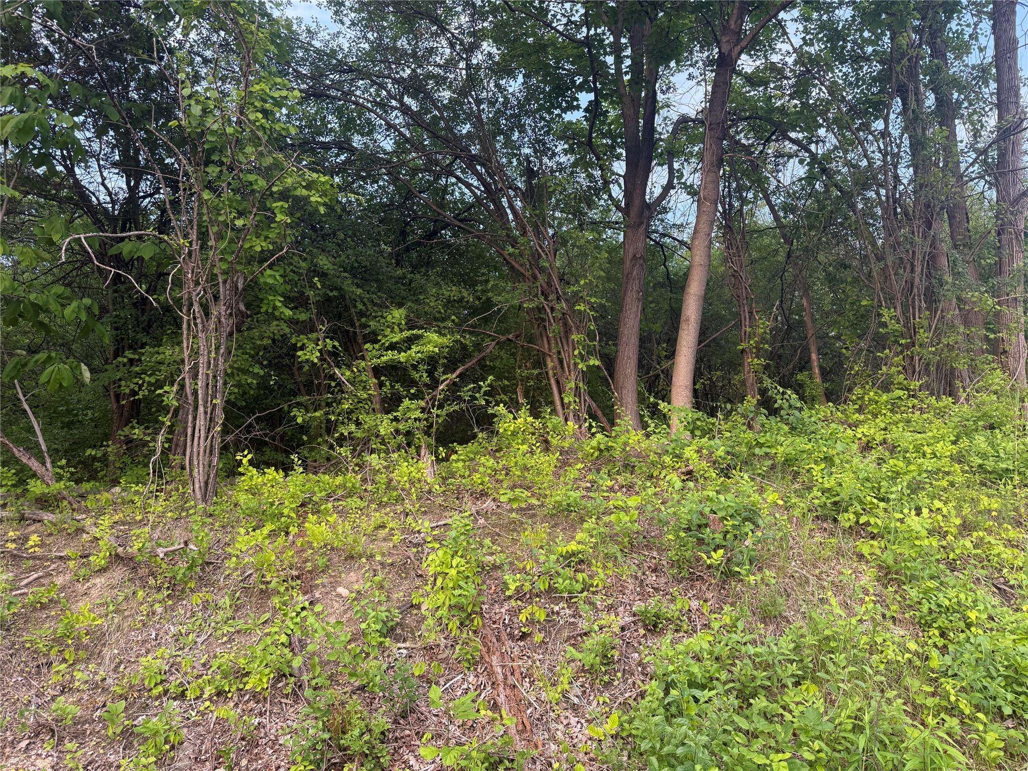 Warwick, NY 10990,Old Ridge Rd