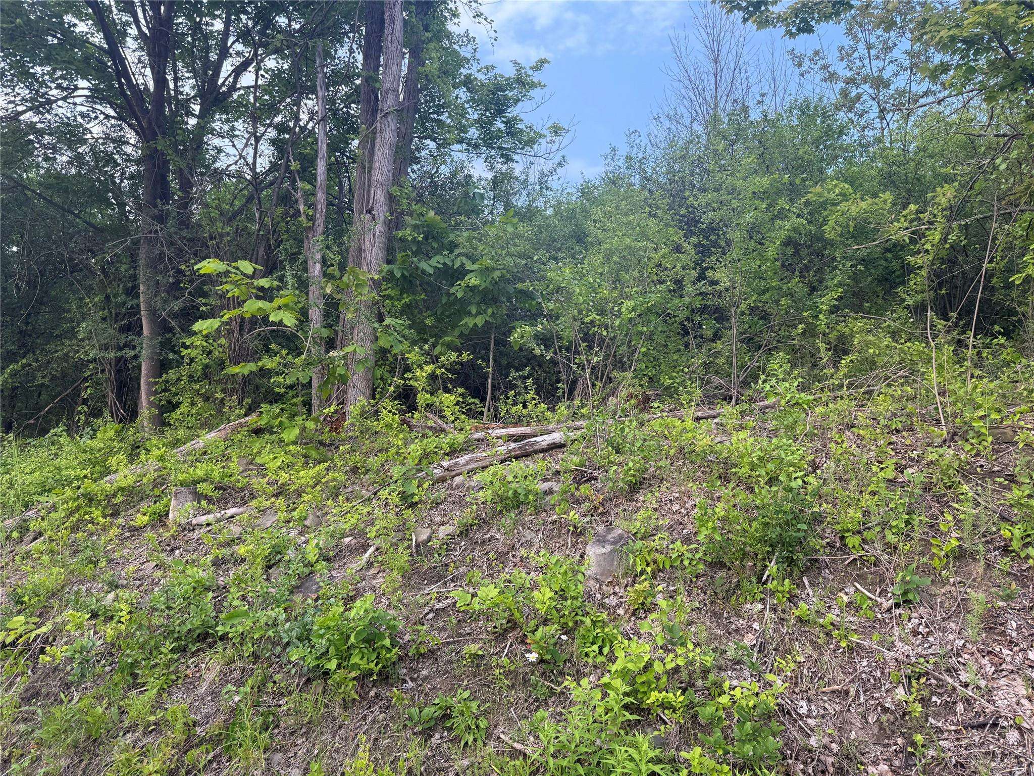 Warwick, NY 10990,Old Ridge Rd
