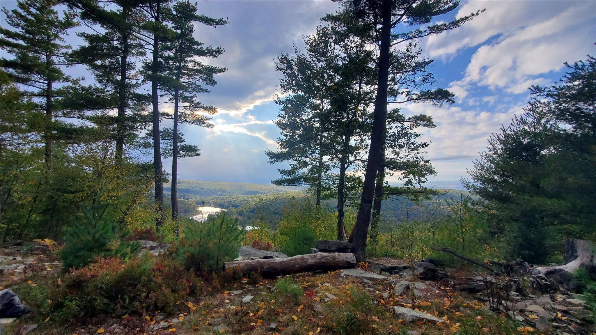 Narrowsburg, NY 12764,Lot 1 Eagle View Road
