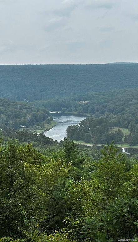 Narrowsburg, NY 12764,Lot 1 Eagle View Road