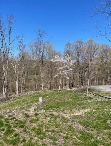 Poughkeepsie, NY 12603,45 Scenic Hills DR